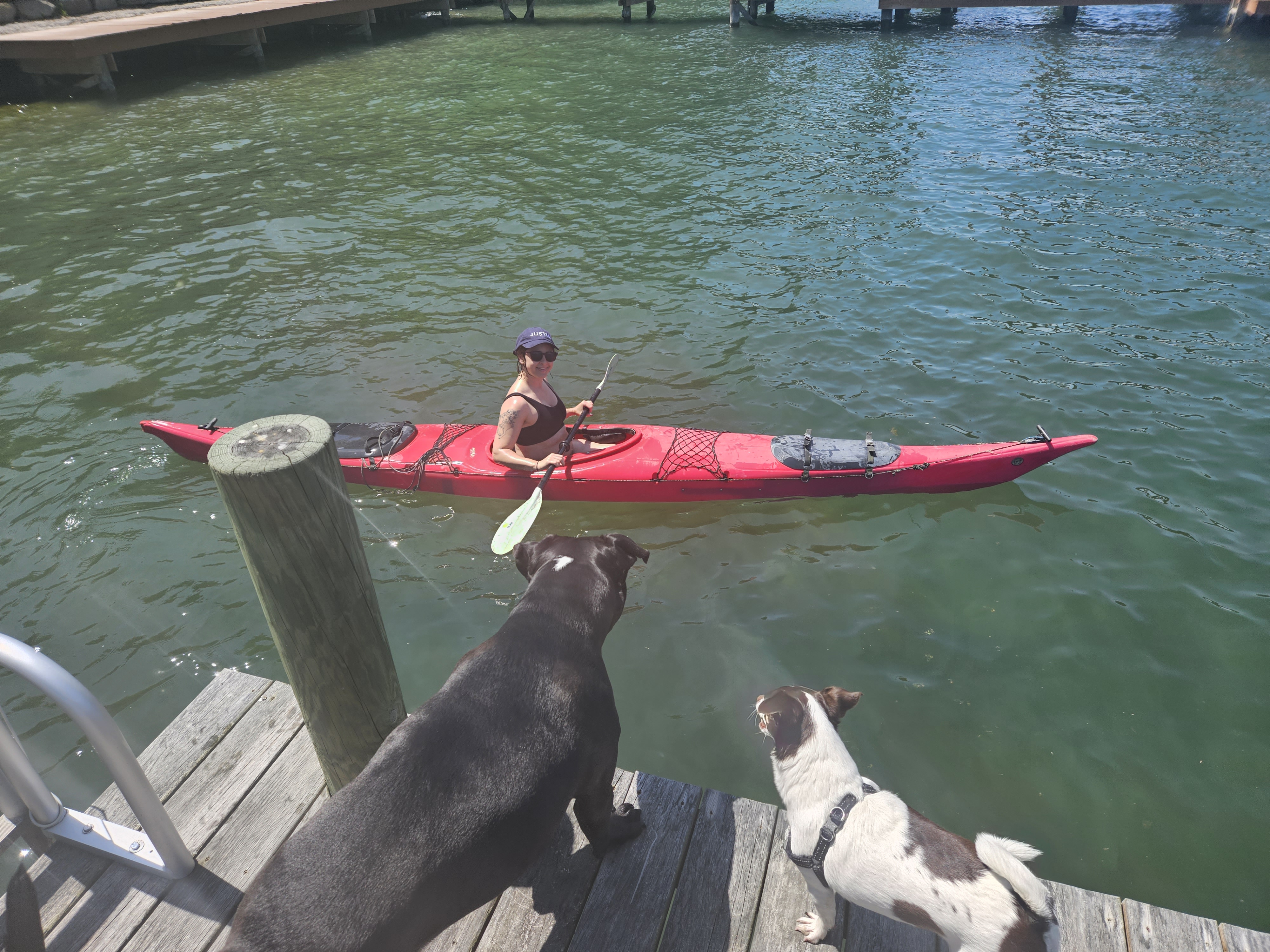 View from dock of a woman kayaking and smiling with her dogs looking on from shore.